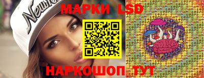 герыч Кингисепп