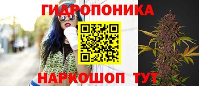 прущие грибы Кимры