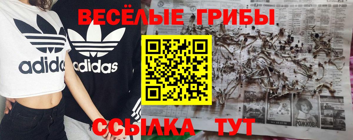 Кубинка  Галлюциногенные грибы Cubensis  Вход с VPN 