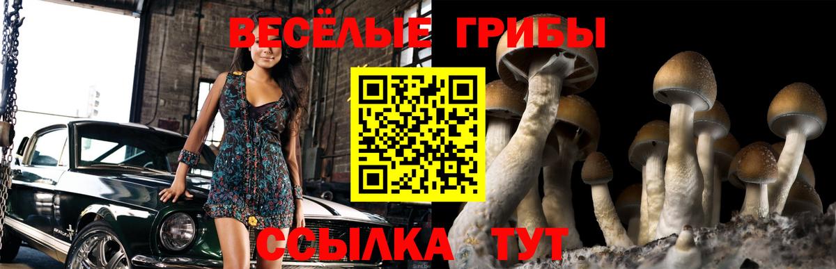 Псилоцибиновые грибы Magic Shrooms Кубинка
